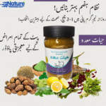 Hayat-e-Maida - Image 3