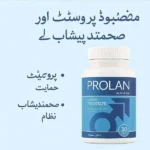Prolan Prostate Medicine – Herbal Capsules for Men's Health
